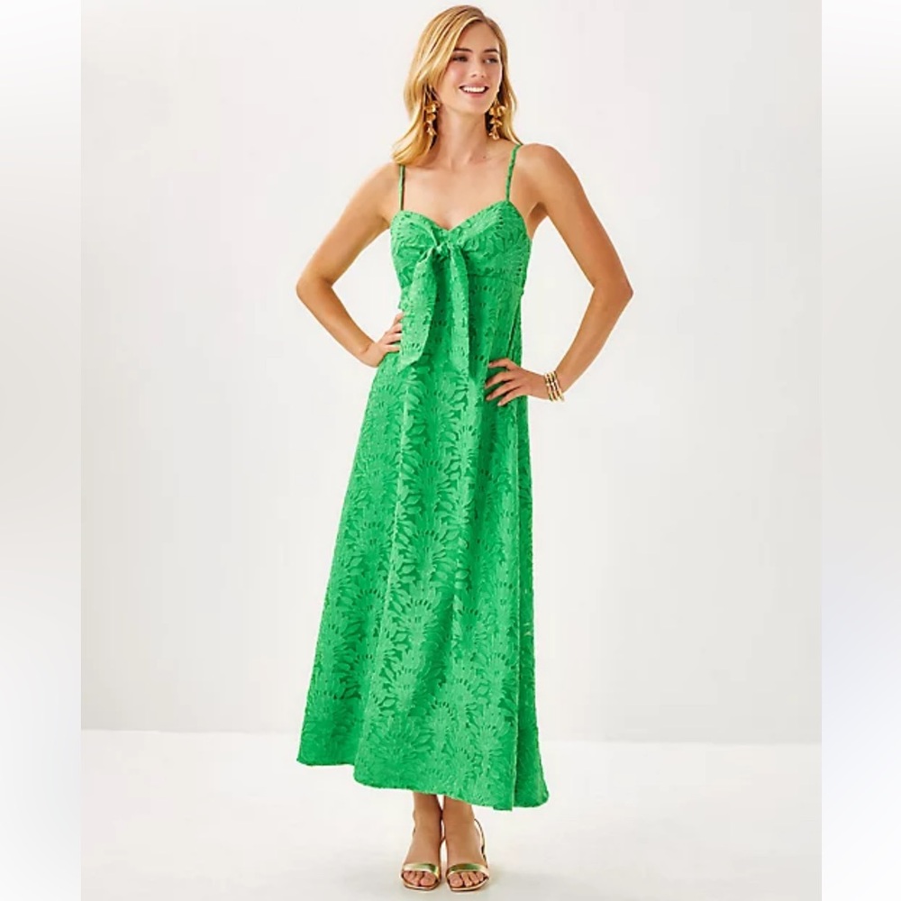 NWT Lilly Pulitzer Sarahlynne Maxi Dress - Picture 3 of 10